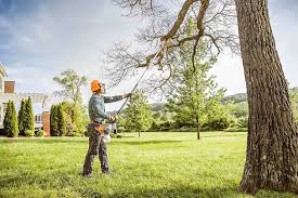 How Our Tree Care Process Works  in  Calais, ME